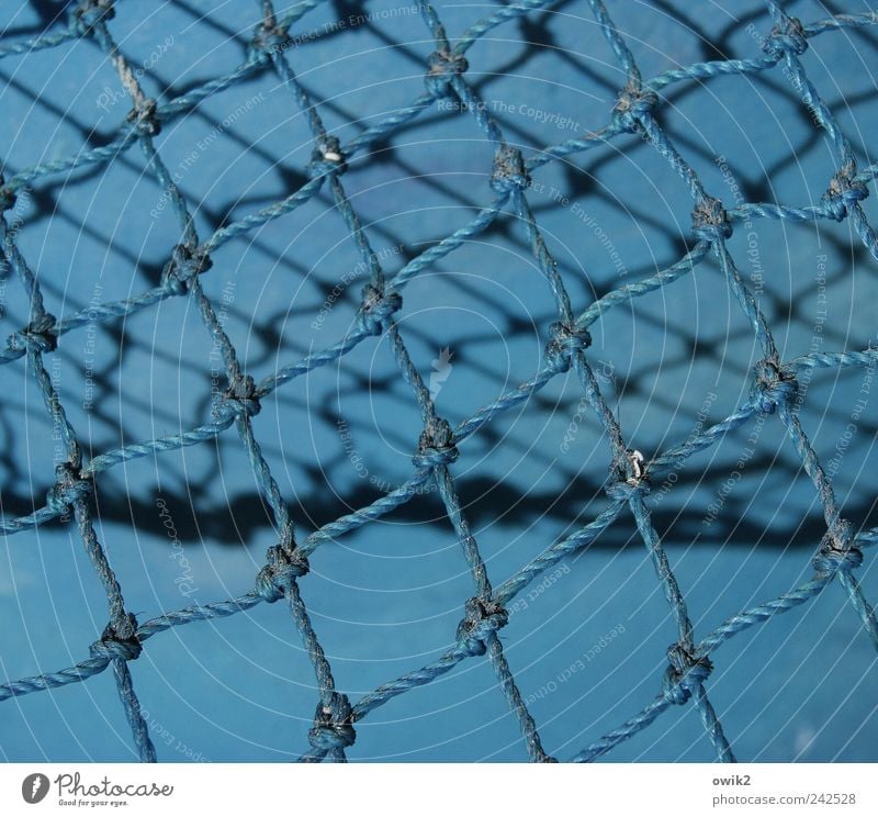 Blue Knots Arbeit & Erwerbstätigkeit Beruf Fischereiwirtschaft Fischernetz Knoten Verknotungen Knotenpunkt Seil netzartig festhalten blau Zusammenhalt
