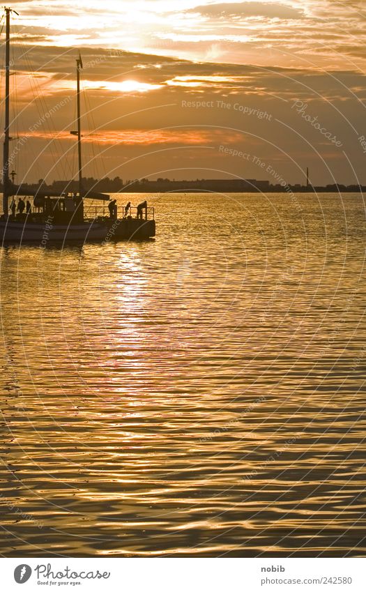 Bootsanleger Wolken Horizont Sonnenaufgang Sonnenuntergang Sonnenlicht Sommer Schönes Wetter Küste Bucht Ostsee Insel Fischerdorf bevölkert Hafen Schifffahrt