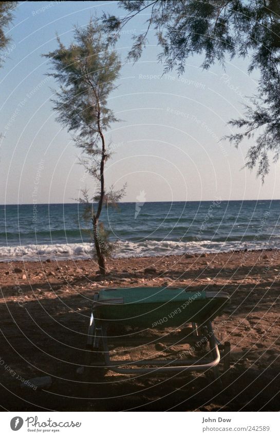 Platz am Meer Ferien & Urlaub & Reisen Tourismus Sommer Sommerurlaub Sonnenbad Strand Baum Sträucher Küste liegen Fernweh Horizont Erholung Liege Rauschen