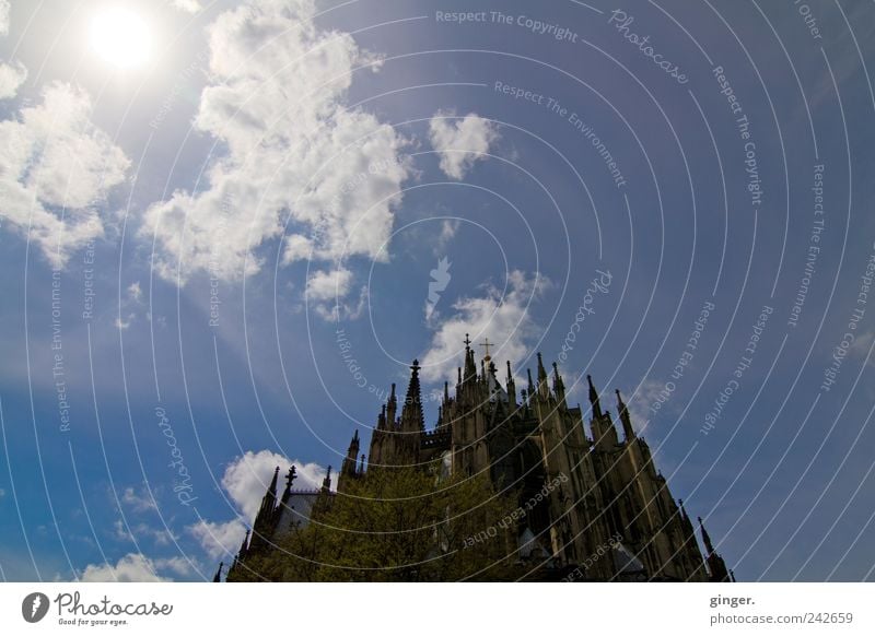 Dem Himmel so nah Köln Kölner Dom Stadtzentrum Menschenleer Kirche Bauwerk Architektur Fassade Sehenswürdigkeit Wahrzeichen Bekanntheit Turm Spitze Wolken