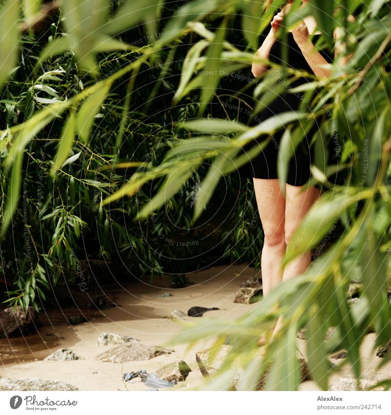 ... seh' Dich am Strand! feminin Junge Frau Jugendliche Beine 1 Mensch 18-30 Jahre Erwachsene Pflanze Sand Schönes Wetter Baum Sträucher Fluss Kleid beobachten