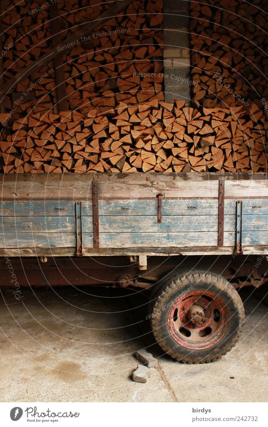 Brennholz gestapelt hinter einem alten landwirtschaftlichen Anhänger Brennholzlager Brennholzstapel Landwirtschaft Forstwirtschaft aufgeschichtet Heizmaterial