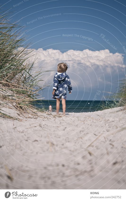 seeluft macht neugierig Ferien & Urlaub & Reisen Sommer Sommerurlaub Strand Kind Junge 1 Mensch 3-8 Jahre Kindheit Wolken Küste Ostsee beobachten entdecken