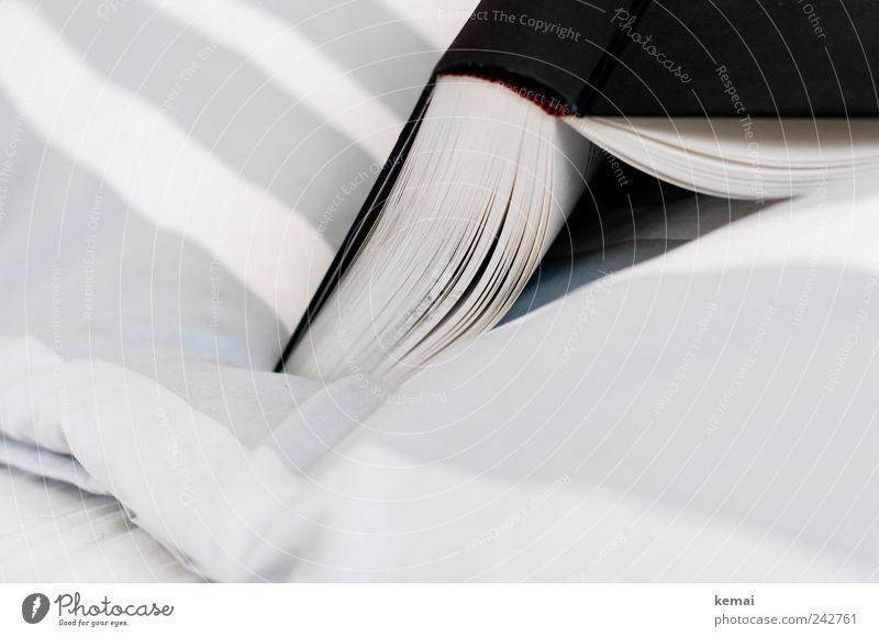 Im Bett lesen Wohnung Dekoration & Verzierung Bettwäsche Buch liegen authentisch grau schwarz weiß Erholung Freizeit & Hobby gestreift aufgeschlagen offen