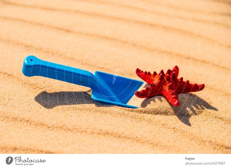 Sandstrand mit Spiezeugschaufel und Seestern Freude Erholung Spielen Ferien & Urlaub & Reisen Tourismus Ausflug Sommer Sommerurlaub Strand Kind blau gelb rot