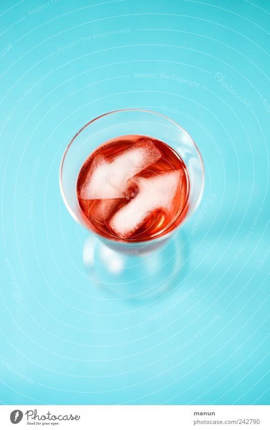 Cocktail Getränk Erfrischungsgetränk Limonade Saft Alkohol Spirituosen Sekt Prosecco Longdrink Glas Sektglas Lifestyle authentisch Coolness trendy kalt lecker