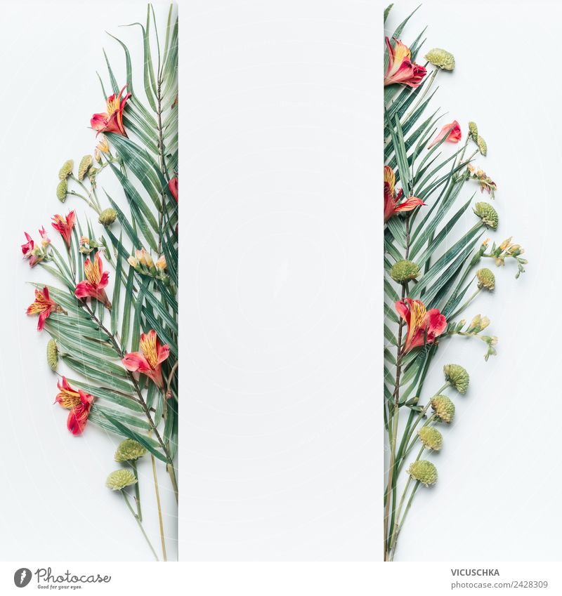 Palmenblätter und tropische Blumen Rahmen auf weiß Stil Design Sommer Natur Pflanze Blatt Blüte Dekoration & Verzierung Ornament Fahne trendy Entwurf