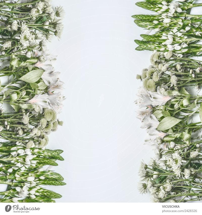 Blumen Rahmen auf weißem Hintergrund Stil Design Sommer Valentinstag Natur Pflanze Blatt Blüte Dekoration & Verzierung Blumenstrauß Ornament Liebe rosa Entwurf