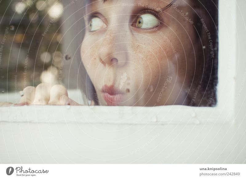 hui feminin Junge Frau Jugendliche Erwachsene Auge 1 Mensch 18-30 Jahre Fenster Tür Holz Glas beobachten berühren frech lustig Neugier niedlich staunen