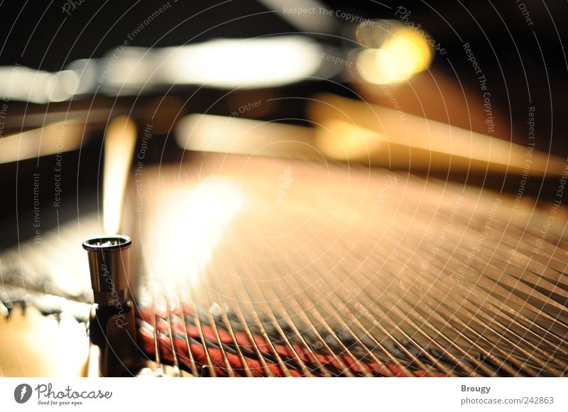 Steinway & Sons Kunst Konzert Flügel Klavier Saite Charakter Mechanik Unschärfe Traurigkeit ästhetisch außergewöhnlich gold silber Gefühle Stimmung Ehre Kraft