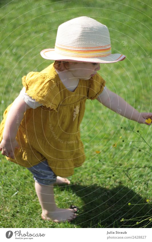 Mädchen Kleinkind Hut Garten Barfuss feminin 1 Mensch 1-3 Jahre Sommer Schönes Wetter Wiese Hose Kleid berühren schön gelb grün Zufriedenheit entdecken Natur