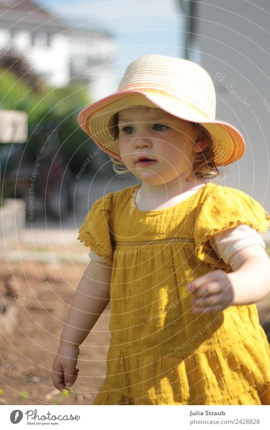 Mädchen Kleinkind senfgelb Kleid Sonnenhut Sommer feminin 1 Mensch 1-3 Jahre Schönes Wetter Garten Hut blond Locken Bewegung Lächeln laufen schön braun Kindheit