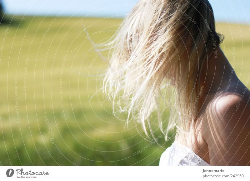Federblond Glück schön Haare & Frisuren Haut Ausflug Sommer Sommerurlaub Mensch feminin Junge Frau Jugendliche Kopf 1 18-30 Jahre Erwachsene Natur Landschaft