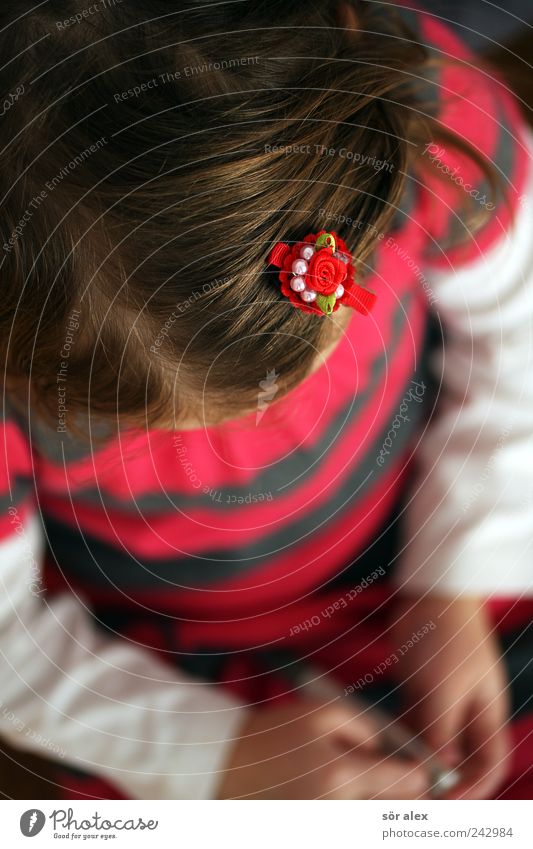 Kuli auf Kleid Mensch Kleinkind Mädchen Kindheit Kopf Haare & Frisuren Arme Hand Oberkörper Scheitel 1 3-8 Jahre Bekleidung T-Shirt Accessoire Schmuck