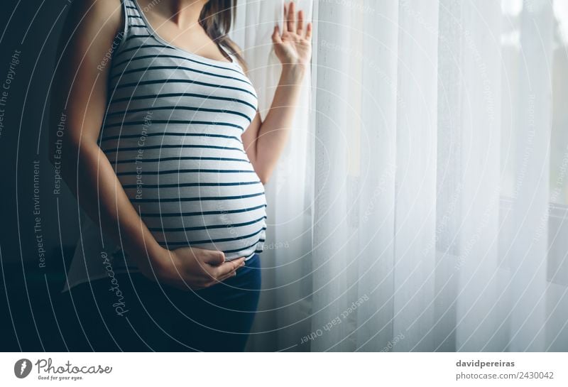 Nicht erkennbare Schwangere, die ihren Bauch hält. Lifestyle Leben ruhig Kindererziehung Mensch Baby Frau Erwachsene Eltern Mutter Familie & Verwandtschaft Hand