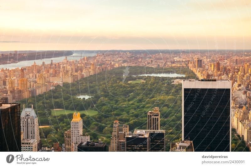 Luftaufnahme des Central Park in Manhattan Erholung Ferien & Urlaub & Reisen Tourismus Sightseeing Sommer Landschaft Himmel Stadtzentrum Skyline Hochhaus