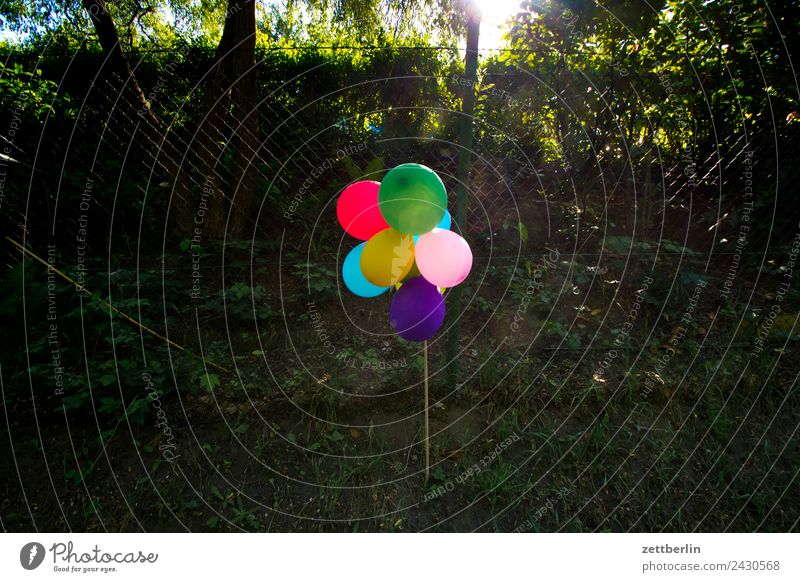 Party Luftballon Feste & Feiern Garten Gartenfest Menschenleer Natur Schrebergarten Sommer Dekoration & Verzierung Kindergeburtstag Geburtstag Textfreiraum