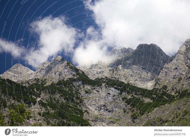 Um seinen Gipfel jagen ... Natur Landschaft Pflanze Himmel Wolken Sommer Schönes Wetter Baum Sträucher Wald Felsen Alpen Berge u. Gebirge Watzmann Berchtesgaden