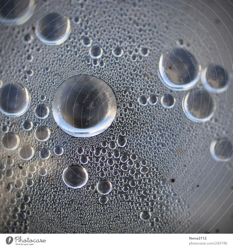 Big drops, small drops, all drops Erfrischungsgetränk Trinkwasser Limonade Flasche Wasser Wassertropfen kalt nass rund Kohlensäure Kondenswasser Tropfen