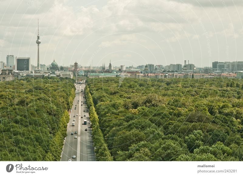 Ausblick auf Berlin Fernsehturm Skyline Hauptstadt Städtereise Stadtzentrum Park Wahrzeichen Verkehrswege Straße des 17. Juni grün Stadtwald Leben