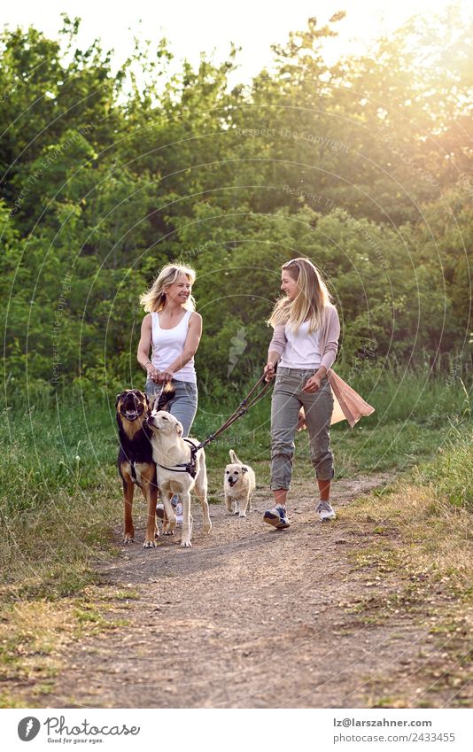 Fröhlich lachende junge Frauen, die ihre Hunde führen. Lifestyle Glück schön Sommer Erwachsene Freundschaft 2 Mensch 18-30 Jahre Jugendliche 45-60 Jahre Natur