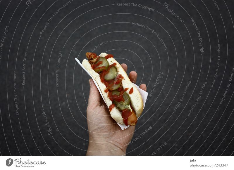 hotdog Lebensmittel Wurstwaren Brötchen Ernährung Fastfood Hand lecker Hotdog haltend Farbfoto Außenaufnahme Textfreiraum links Textfreiraum rechts