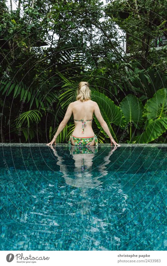 Vom Pool in den Dschungel harmonisch Wohlgefühl Zufriedenheit Sinnesorgane Erholung ruhig Spa Schwimmbad Schwimmen & Baden Freizeit & Hobby
