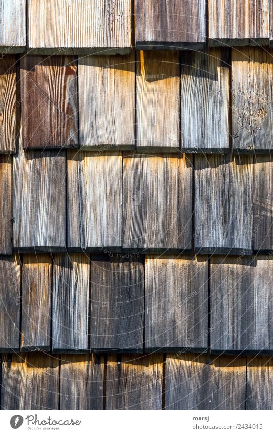 Gemeinsam schützen wir Mauer Wand Dachziegel Holzwand Maserung Patina alt eckig Zusammensein einzigartig braun nachhaltig Schutz nebeneinander Lärche Farbfoto