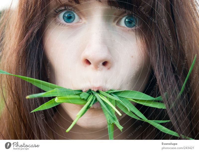 Erwischt Mensch feminin Junge Frau Jugendliche Kopf Haare & Frisuren Gesicht Auge Nase Mund 1 entdecken Essen exotisch gruselig schön nah braun grün Farbfoto
