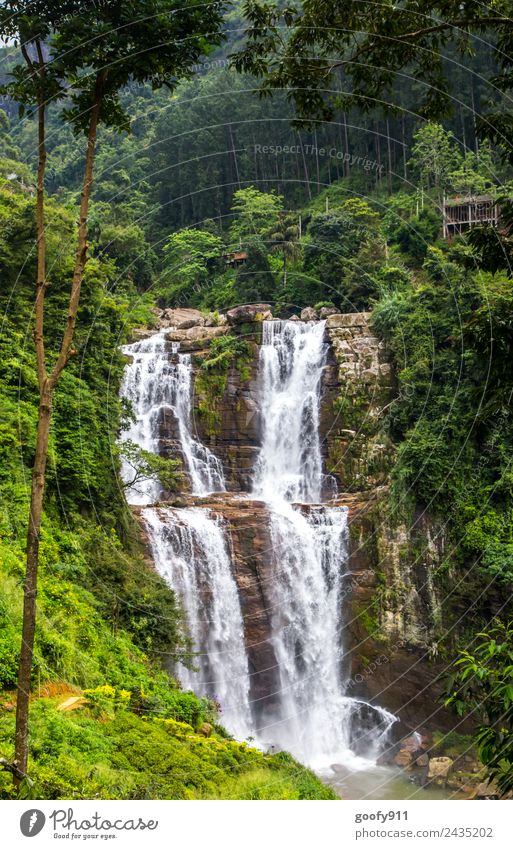 Ramboda Falls Sri Lanka II Ferien & Urlaub & Reisen Tourismus Ausflug Abenteuer Ferne Freiheit Sightseeing Expedition Insel Berge u. Gebirge Umwelt Natur