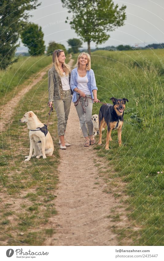 Fröhlich lachende junge Frauen, die ihre Hunde führen. Lifestyle Glück schön Sommer Erwachsene Freundschaft 2 Mensch 18-30 Jahre Jugendliche 45-60 Jahre Natur