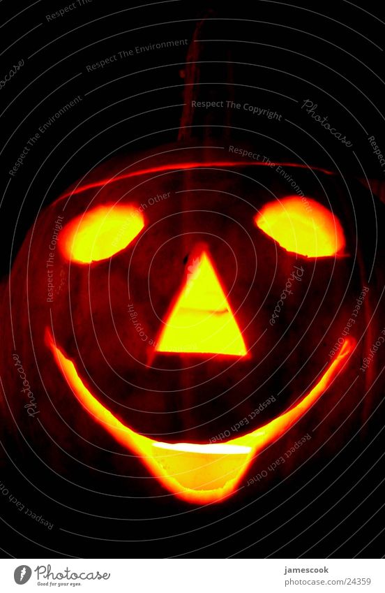 Kürbis Halloween obskur Pumpkin Geister u. Gespenster lustig lachen