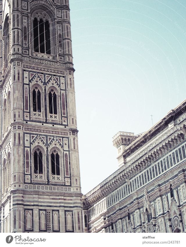 Maria, ne Blume und ein Giotto Wolkenloser Himmel Schönes Wetter Florenz Toskana Italien Altstadt Kirche Dom Fassade Sehenswürdigkeit santa maria del fiore