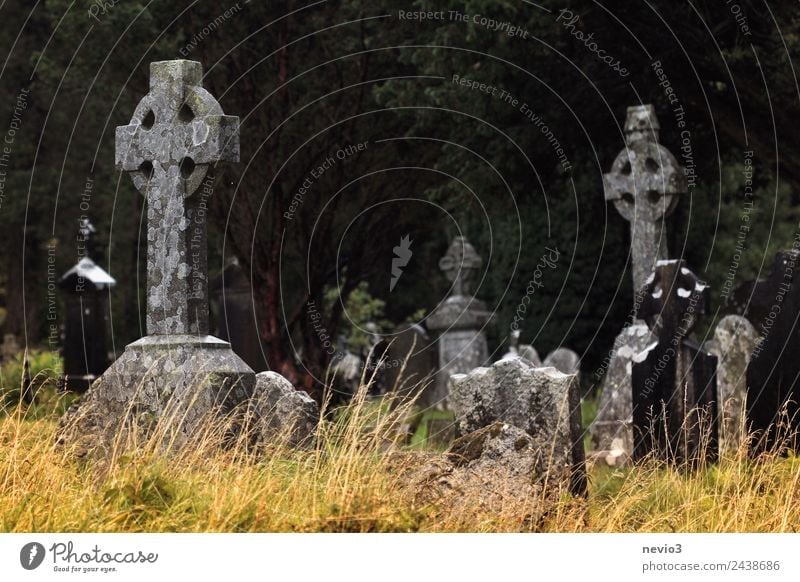 Alte keltische Steinkreuze bei Glendalough in Irland Umwelt Gras Park Glaube Traurigkeit Frieden Religion & Glaube ruhig Schmerz Tod Vergänglichkeit Kreuz