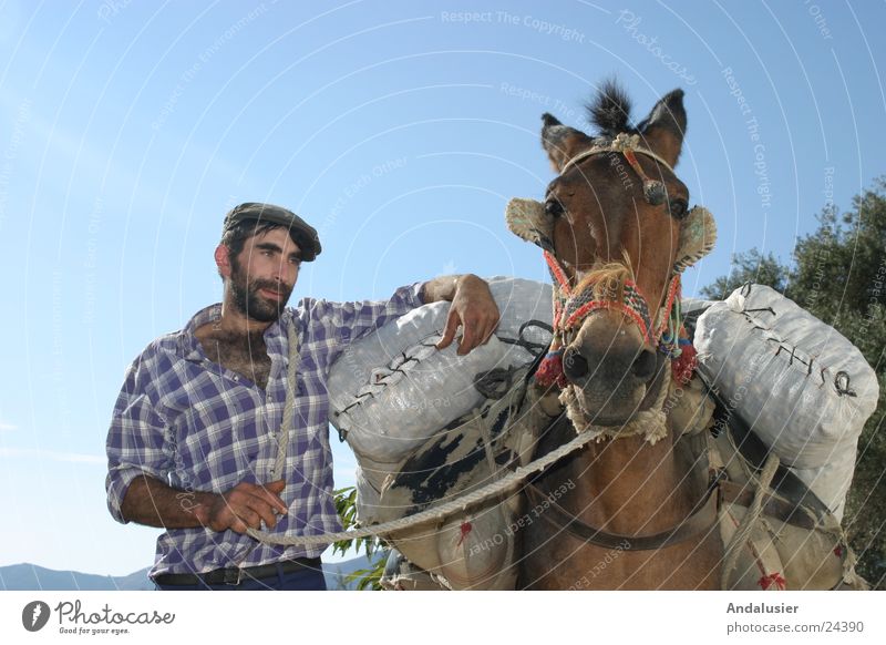 Andalusisches Duo Spanien Andalusien Gesellschaft (Soziologie) ländlich Mensch Esel