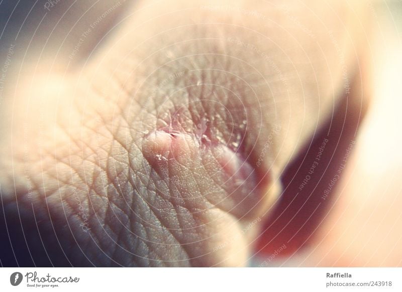 Heilung Haut Hand rosa Schmerz Angst Narbe verletzen Finger Wunde Farbfoto Nahaufnahme Detailaufnahme Makroaufnahme Muster Strukturen & Formen Licht Schatten