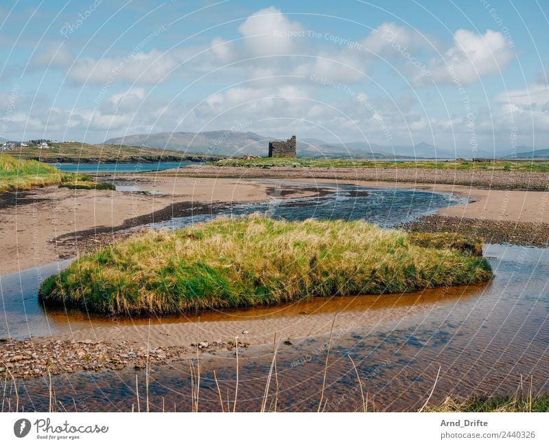 Irland - Ballinskelligs Castle Ferien & Urlaub & Reisen Tourismus Ausflug Ferne Strand Meer Natur Landschaft Pflanze Sand Wasser Himmel Wolken Frühling Sommer