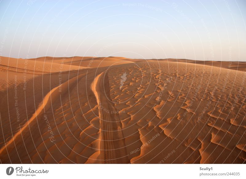 Wüste in Saudi Arabien Umwelt Natur Landschaft Urelemente Erde Sand Wolkenloser Himmel Klima Schönes Wetter Hügel Küste Strand Düne Abenteuer Beginn anstrengen