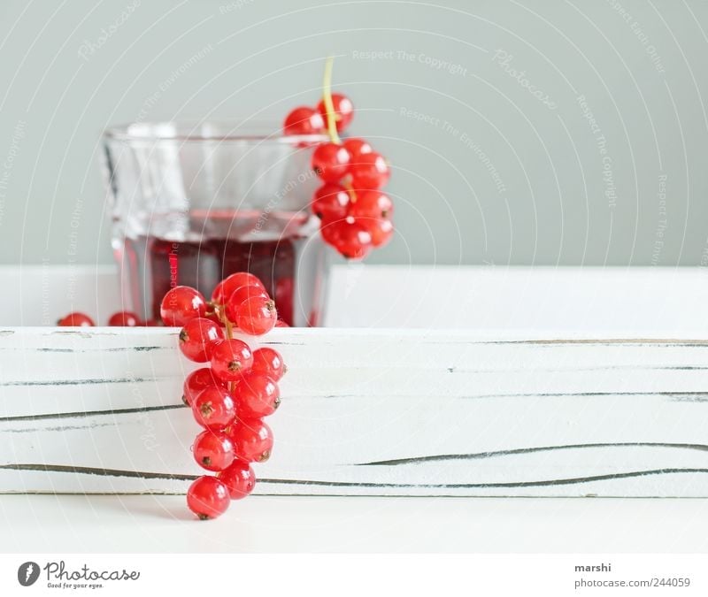 Johannisbeersaft Lebensmittel Frucht Ernährung Getränk trinken Erfrischungsgetränk Saft Glas rot Beeren rund klein Saftglas Unschärfe weiß durstig lecker
