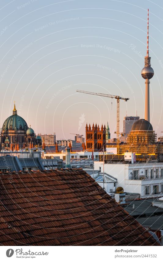 Berlin Panorama mit Blick auf Museumsinsel Zentralperspektive Starke Tiefenschärfe Sonnenstrahlen Sonnenlicht Schatten Licht Morgen Textfreiraum Mitte