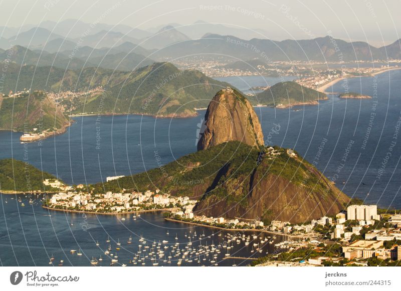 Zuckerhut Natur Landschaft Wasser Berge u. Gebirge Zuckerhut (Felsen) Bucht Rio de Janeiro Brasilien Hauptstadt Sehenswürdigkeit Wahrzeichen