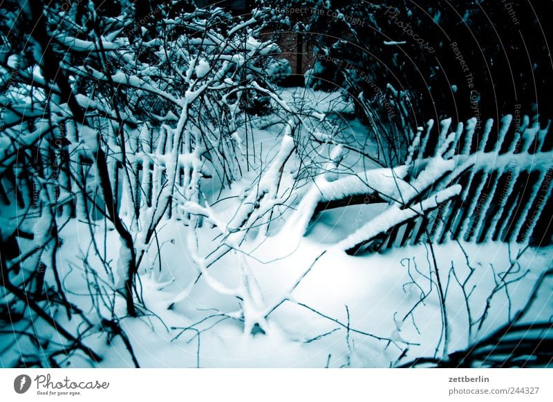 Winter Schnee eins Zaun Zaunlücke Zaunpfahl kaputt Riss verfallen lock Lücke Holzzaun Grenze Nachbar Wald Park Sträucher Schneedecke Wetter dunkel Dämmerung