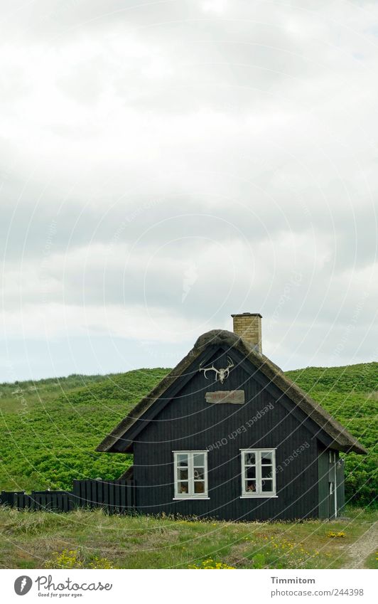 Einfach schön - "HYG`LI`" Ferien & Urlaub & Reisen Umwelt Wolken Sommer Sträucher Hügel Dänemark Haus Ferienhaus Horn Holz ästhetisch einfach grün Gefühle