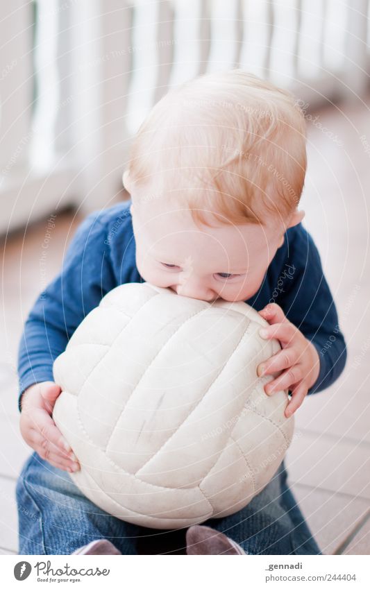 Baby-Pille Mensch maskulin Gesicht 1 0-12 Monate Spielen niedlich weich blau Freude Glück Fröhlichkeit Warmherzigkeit schön Ball blond Lächeln festhalten