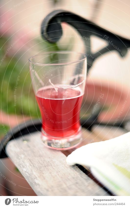 roter Johannisbeersaft Lebensmittel Getränk trinken Erfrischungsgetränk Trinkwasser Saft johannisbeersaft Schorle Mineralwasser Johannisbeeren Träuble Glas