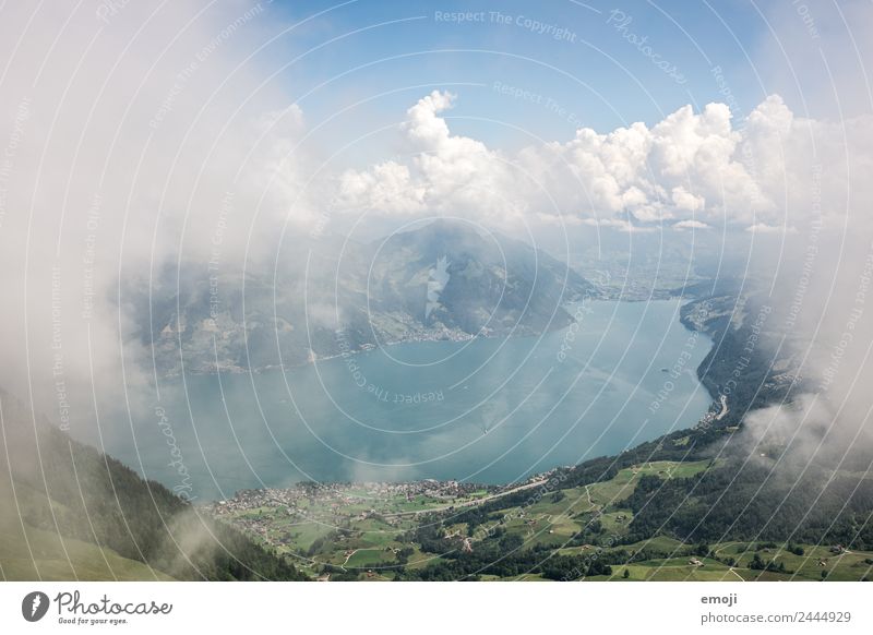 Blick vor dem Aufstieg zum Buochserhorn (CH) Umwelt Natur Landschaft Wolken Sommer Klima Wetter Schönes Wetter Nebel Alpen Berge u. Gebirge See außergewöhnlich