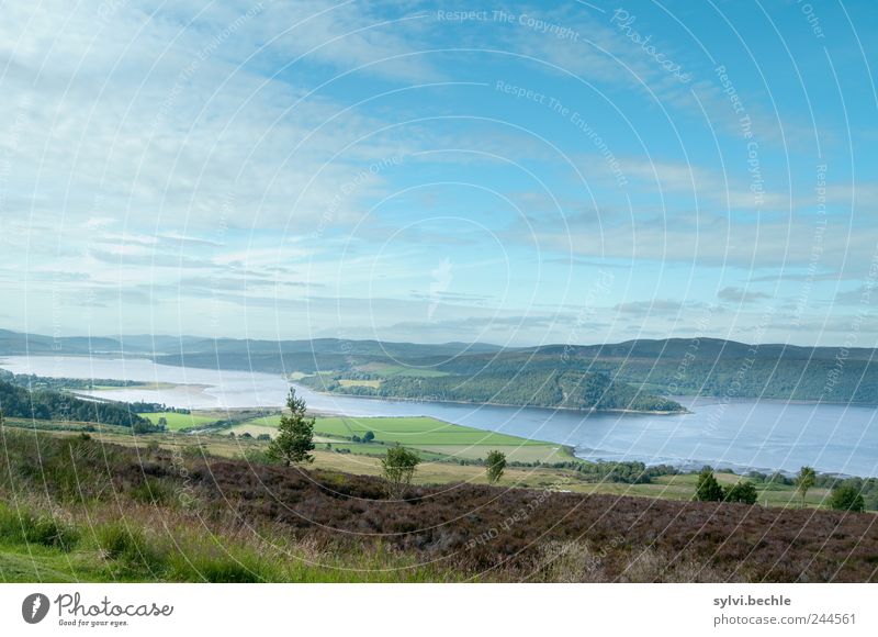 Schottland I Natur Landschaft Wasser Himmel Wolken Sommer Klima Klimawandel Schönes Wetter Baum Feld Hügel Berge u. Gebirge Küste Bucht Meer Idylle Umwelt