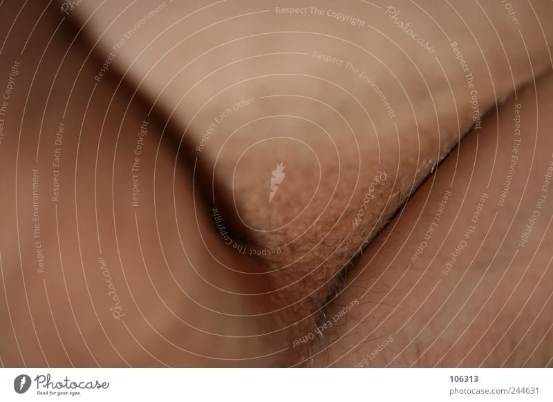 202924 Behaarung nackt Haut Haare & Frisuren Fleisch Körper Penis Mensch Detailaufnahme Männliches Genitalsystem Farbfoto
