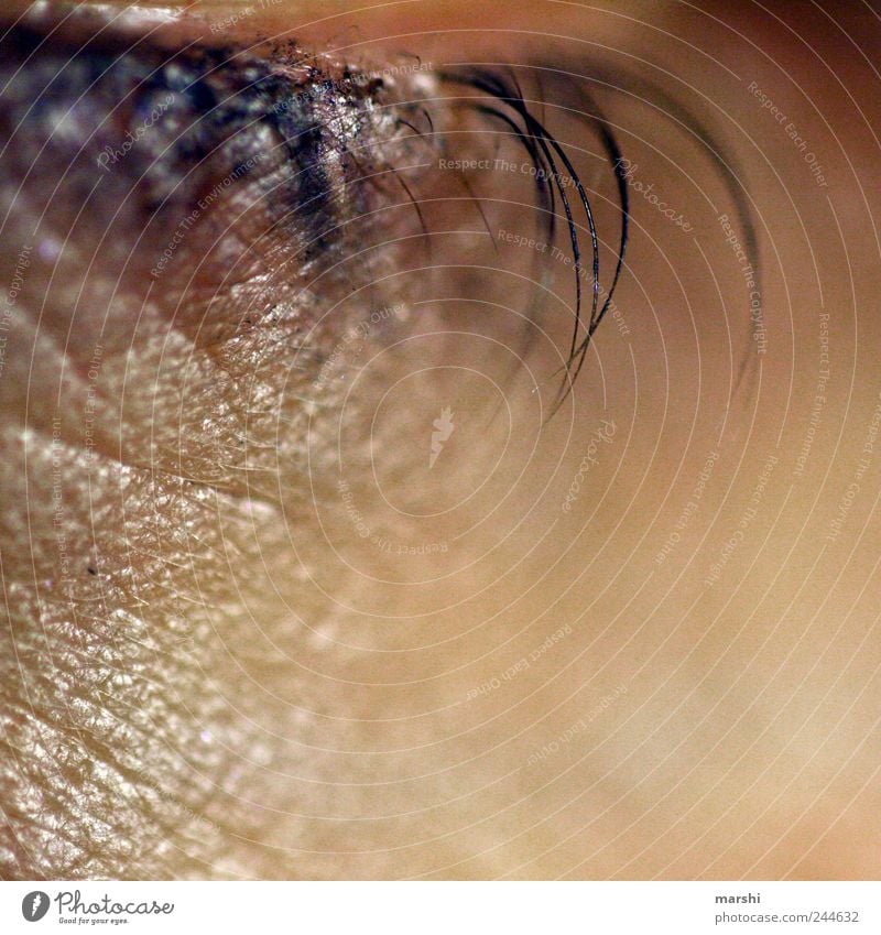 ein Wimpernschlag Mensch Haut Auge braun Wimperntusche Kajal Hautfalten Detailaufnahme Nahaufnahme Schminke Zwinkern Unschärfe Makroaufnahme Hautfarbe Farbfoto