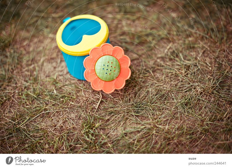 Gregor Gießi Kindheit Umwelt Natur Schönes Wetter Gras Garten Wiese Spielzeug Gießkanne Kunststoff niedlich trocken Wachstum Farbfoto mehrfarbig Außenaufnahme